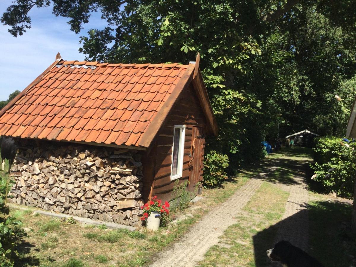 Landelijk Gelegen Huisje Op Erf Veeningen Esterno foto