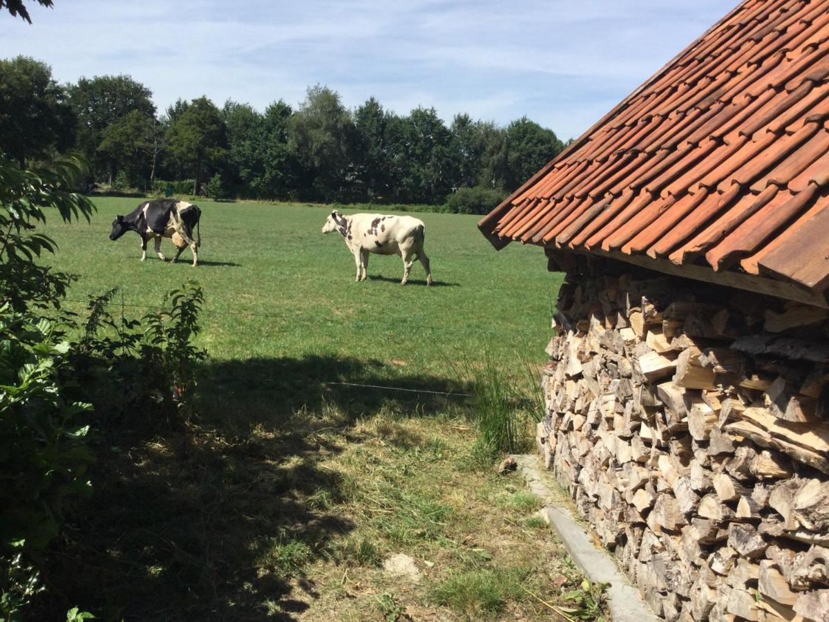 Landelijk Gelegen Huisje Op Erf Veeningen Esterno foto