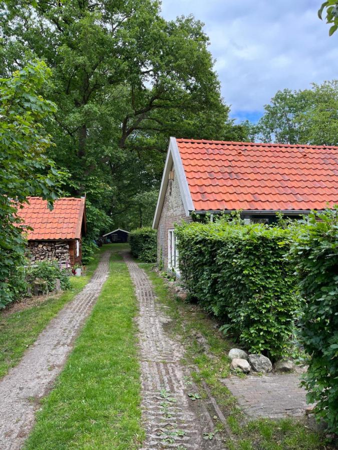 Landelijk Gelegen Huisje Op Erf Veeningen Esterno foto
